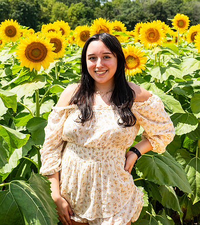 Sunflower67