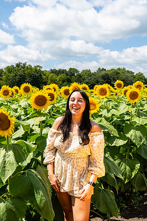 Sunflower70