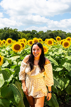 Sunflower72