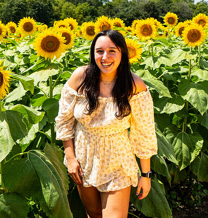 Sunflower73
