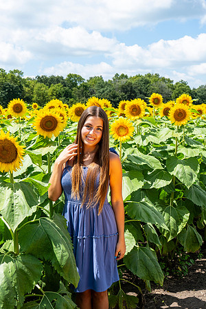 Sunflower74