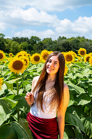 Sunflower78