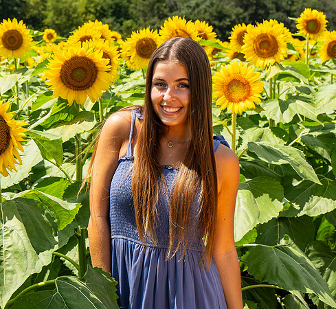 Sunflower77