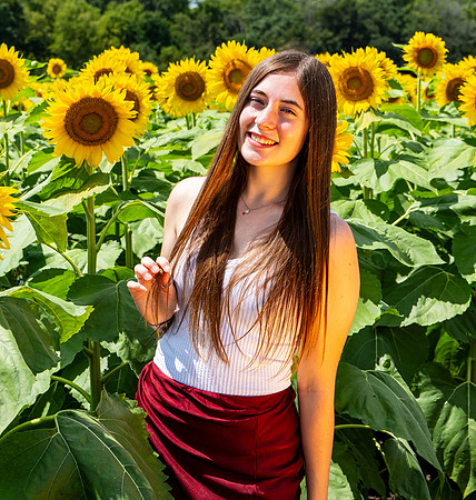 Sunflower79