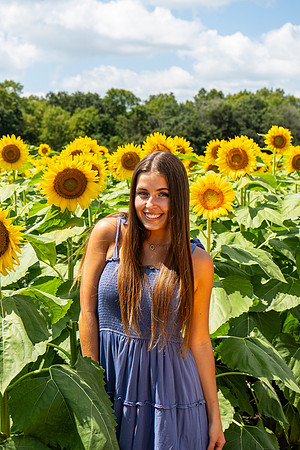 Sunflower76