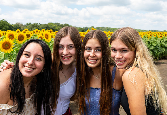 Sunflower84