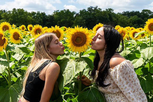 Sunflower86