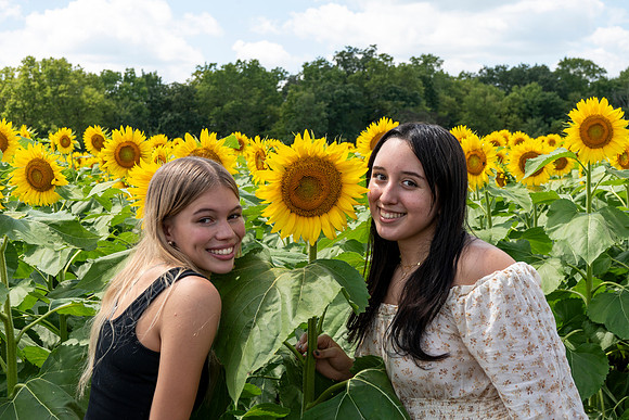 Sunflower87