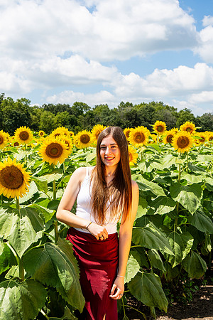 Sunflower88