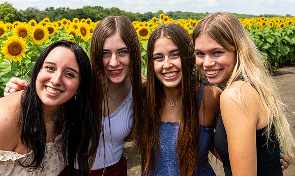 Sunflower92