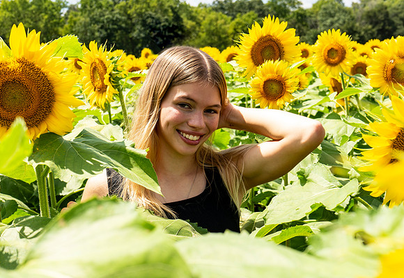 Sunflower94