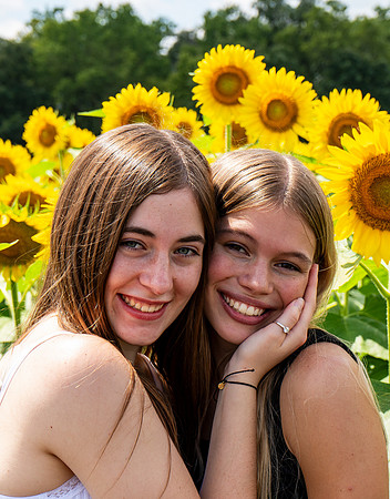 Sunflower95