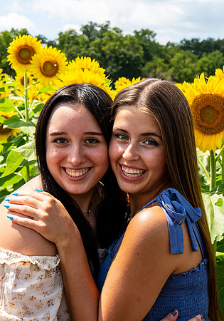 Sunflower96
