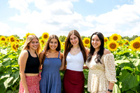 Sunflower99