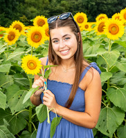 Sunflower38