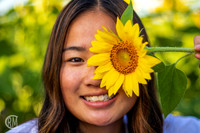 Sunflowers-M&K-10