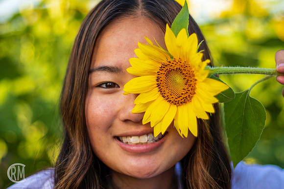 Sunflowers-M&K-10