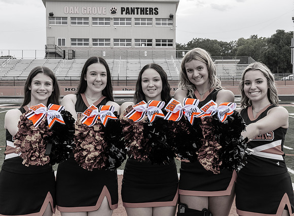 Cheer4Hybrid