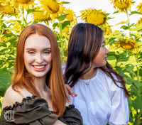 Sunflowers-M&K-05