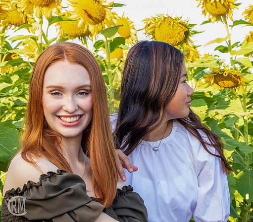 Sunflowers-M&K-05