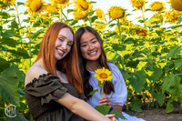 Sunflowers-M&K-07