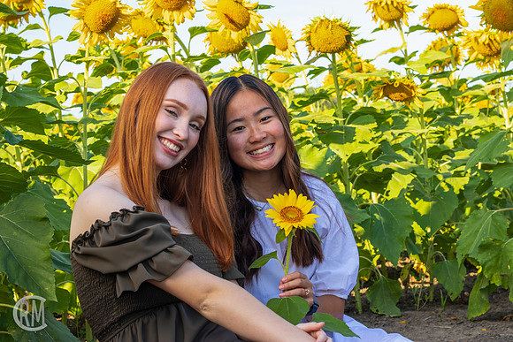 Sunflowers-M&K-07