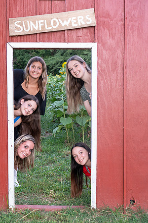 Farm14