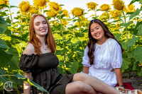 Sunflowers-M&K-04