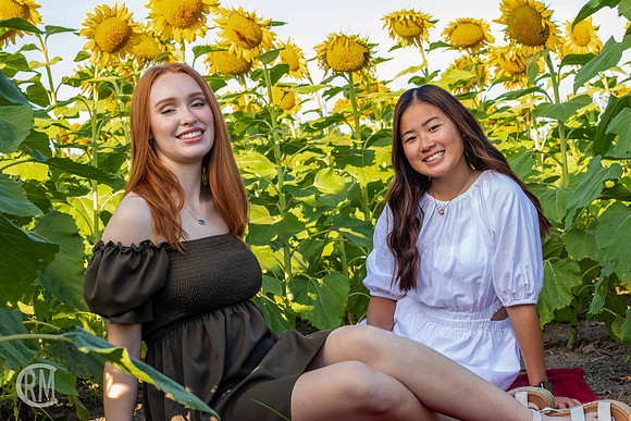 Sunflowers-M&K-04
