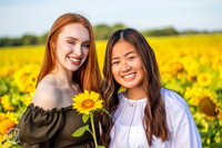 - Sunflower Patch - 8-27-22