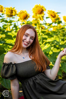 Sunflowers-M&K-02