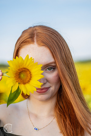 Sunflowers-M&K-12