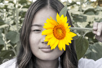 Sunflowers-M&K-09