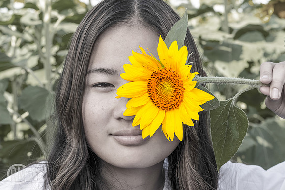 Sunflowers-M&K-09