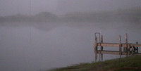 Misty_Morning