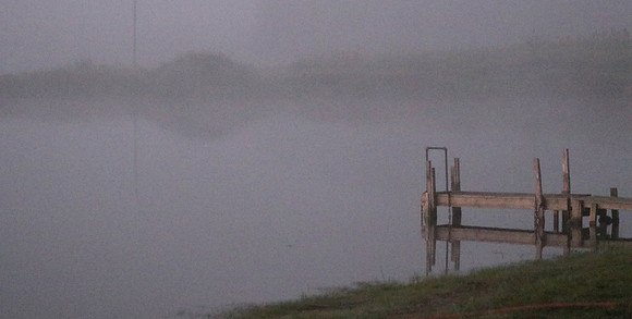 Misty_Morning