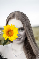 Sunflowers-M&K-13