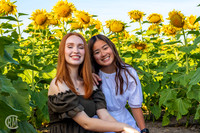 Sunflowers-M&K-06
