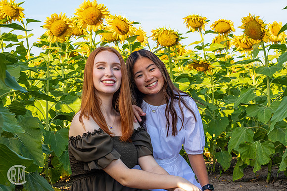 Sunflowers-M&K-06