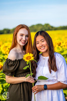 Sunflowers-M&K-18
