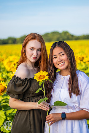 Sunflowers-M&K-16