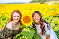 Sunflowers-M&K-19