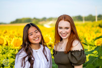 Sunflowers-M&K-01